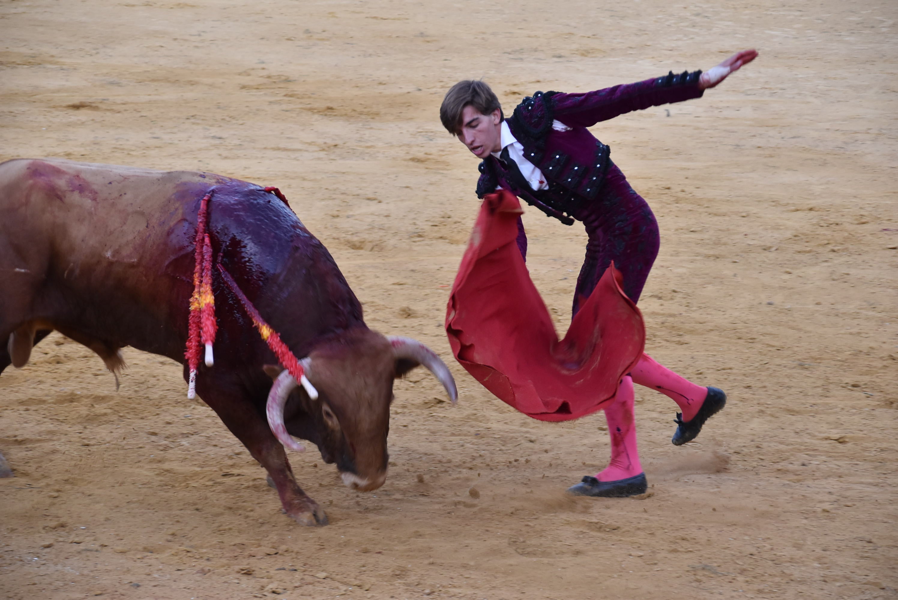 Puerta grande para Castaño, Diosleguarde y Julio Norte en la plaza de toros de Béjar