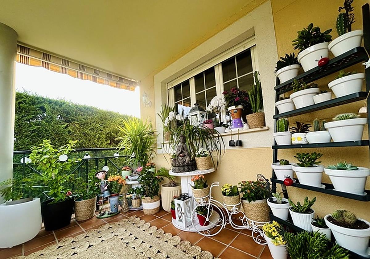 Imagen de la terraza de Rocío Jiménez, ganadora del concurso de LA GACETA.