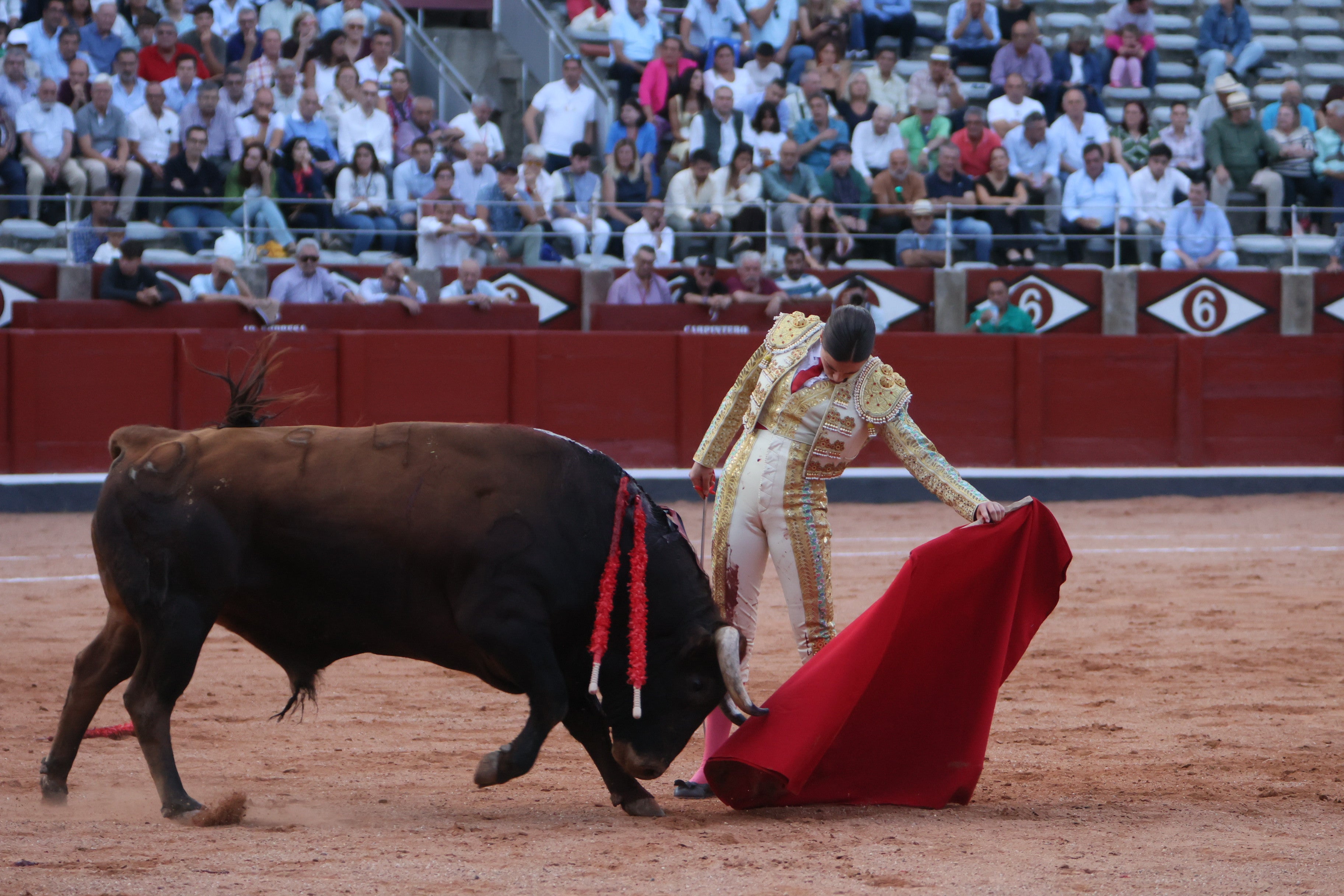 Las mejores imágenes de la novillada que abrió la Feria
