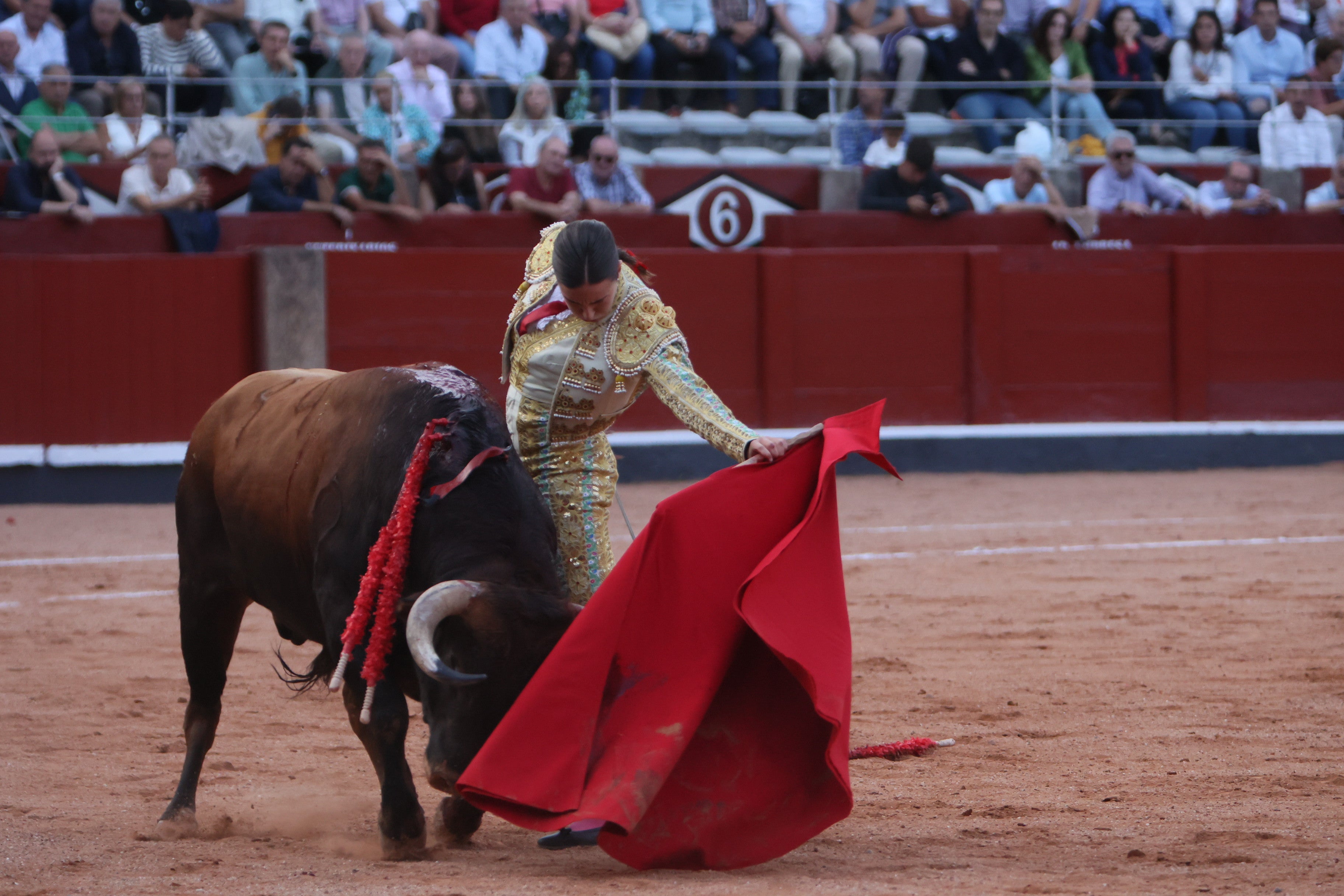 Las mejores imágenes de la novillada que abrió la Feria