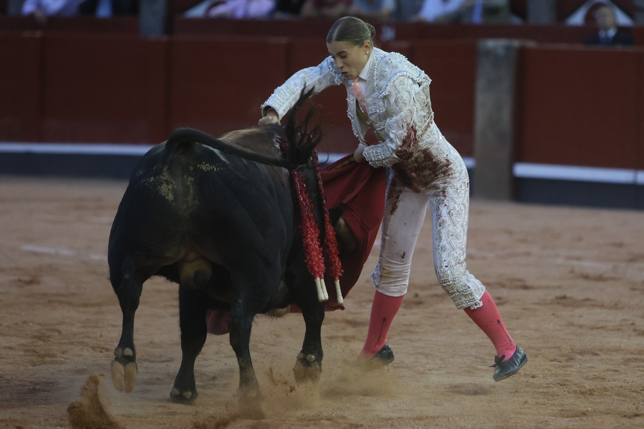 Las mejores imágenes de la novillada que abrió la Feria