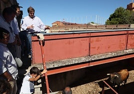 Justo Hernández, ganadero de Garcigrande, siguiendo las labores de enchiqueramiento.