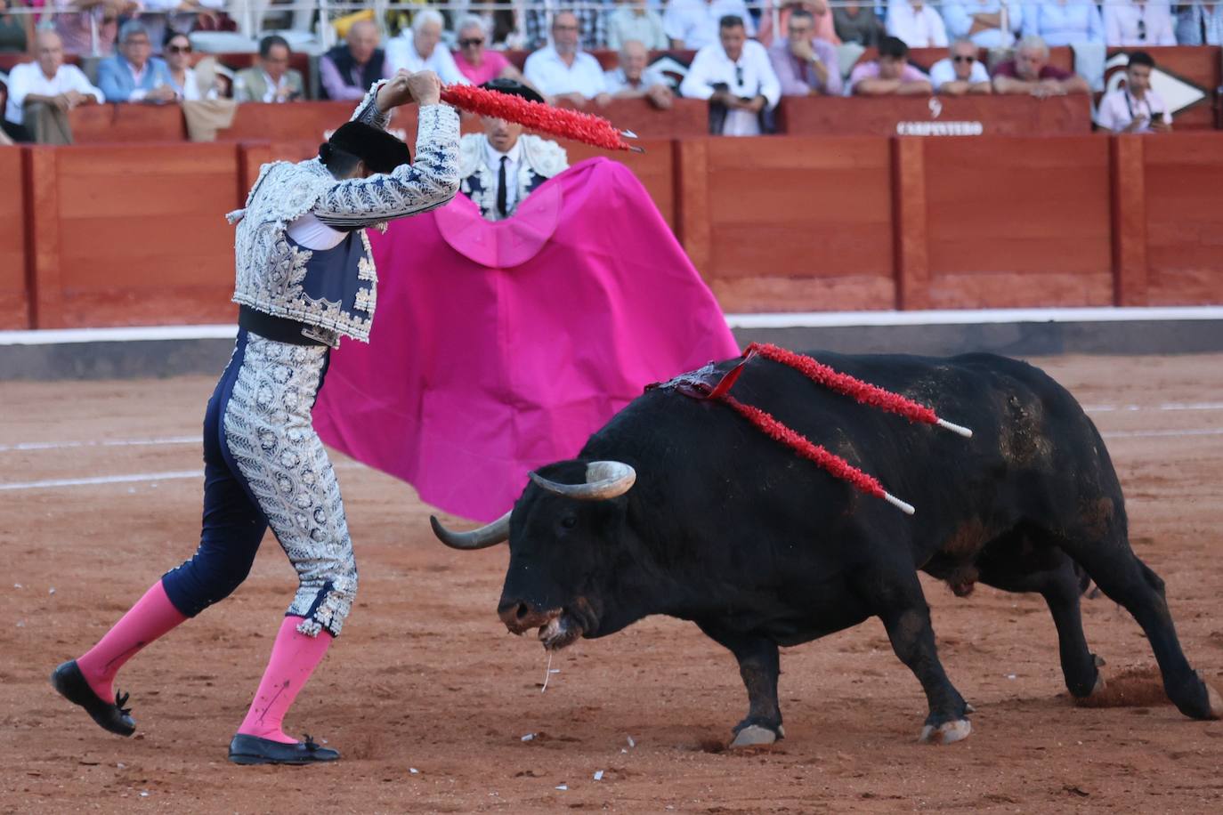 Las mejores imágenes del indulto de Buenasuerte en La Glorieta