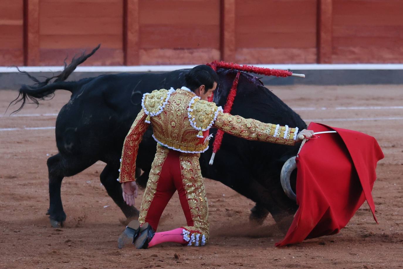 Las mejores imágenes del indulto de Buenasuerte en La Glorieta
