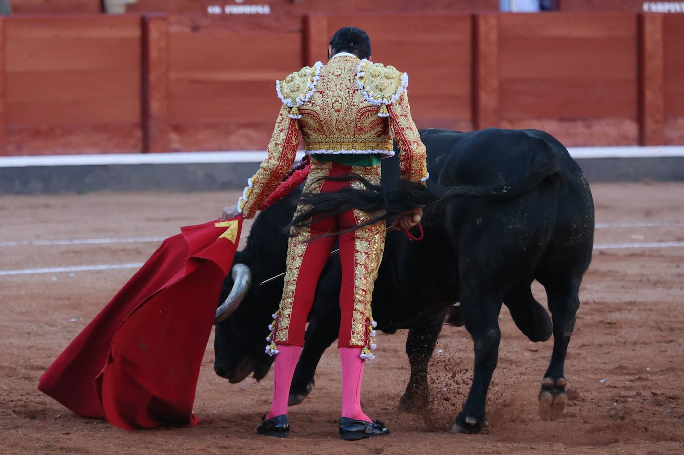 Las mejores imágenes del indulto de Buenasuerte en La Glorieta