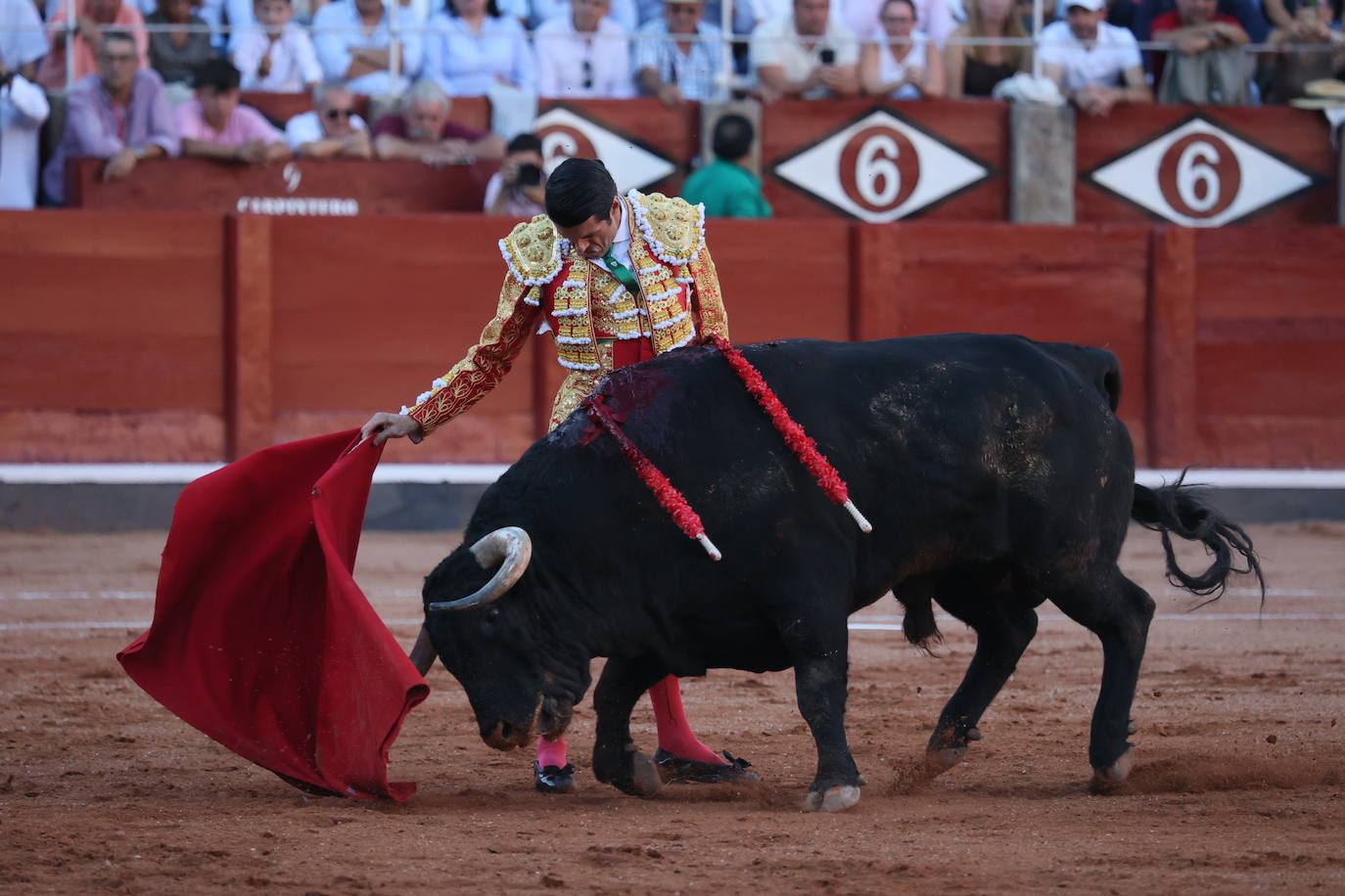 Las mejores imágenes del indulto de Buenasuerte en La Glorieta