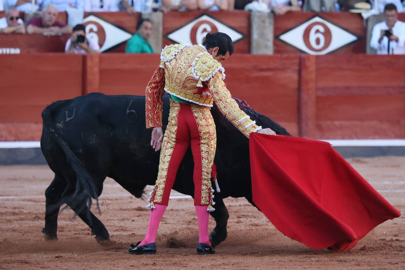 Las mejores imágenes del indulto de Buenasuerte en La Glorieta