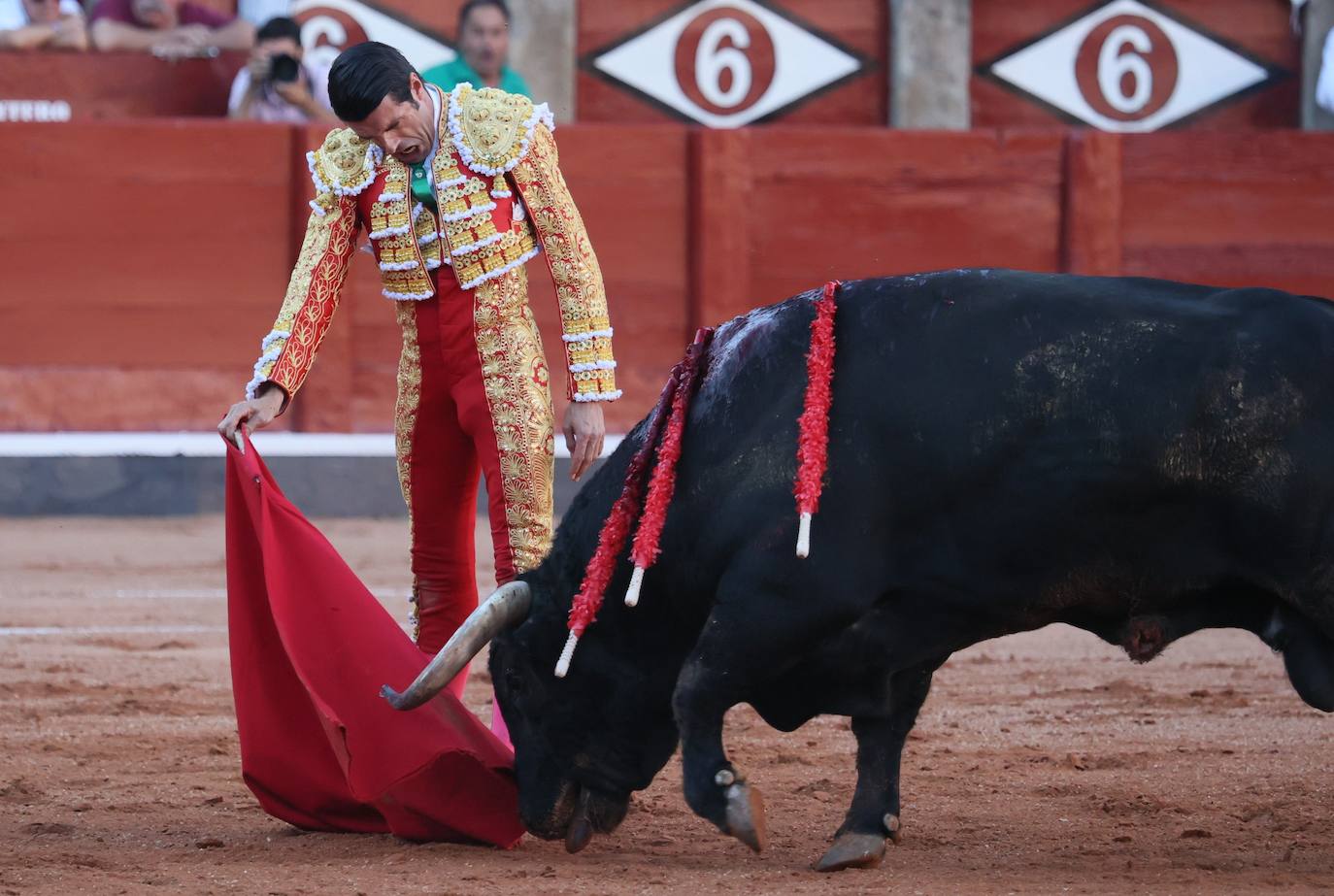 Las mejores imágenes del indulto de Buenasuerte en La Glorieta
