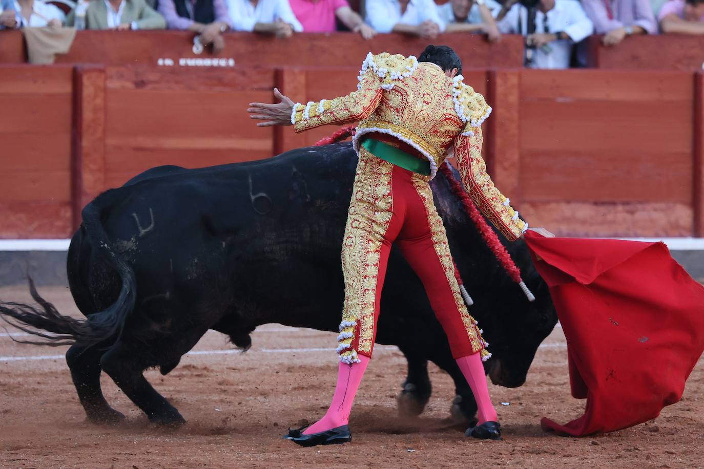 Las mejores imágenes del indulto de Buenasuerte en La Glorieta