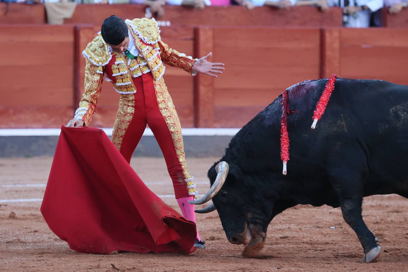Las mejores imágenes del indulto de Buenasuerte en La Glorieta