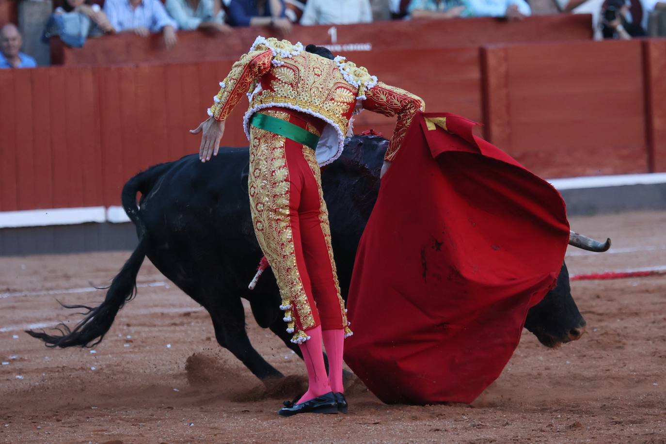 Las mejores imágenes del indulto de Buenasuerte en La Glorieta
