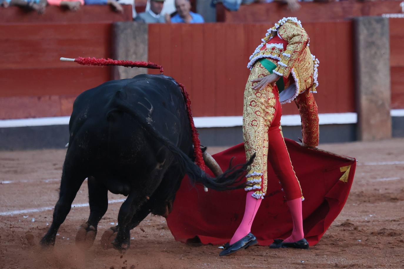Las mejores imágenes del indulto de Buenasuerte en La Glorieta