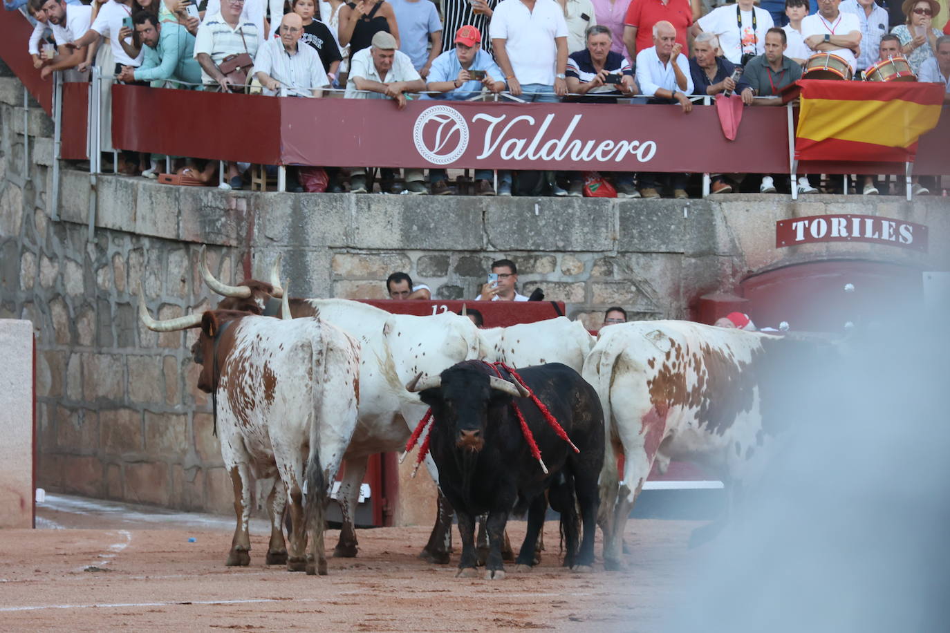 Las mejores imágenes del indulto de Buenasuerte en La Glorieta
