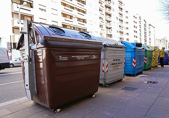 Contenedor marrón en el paseo de la Estación.
