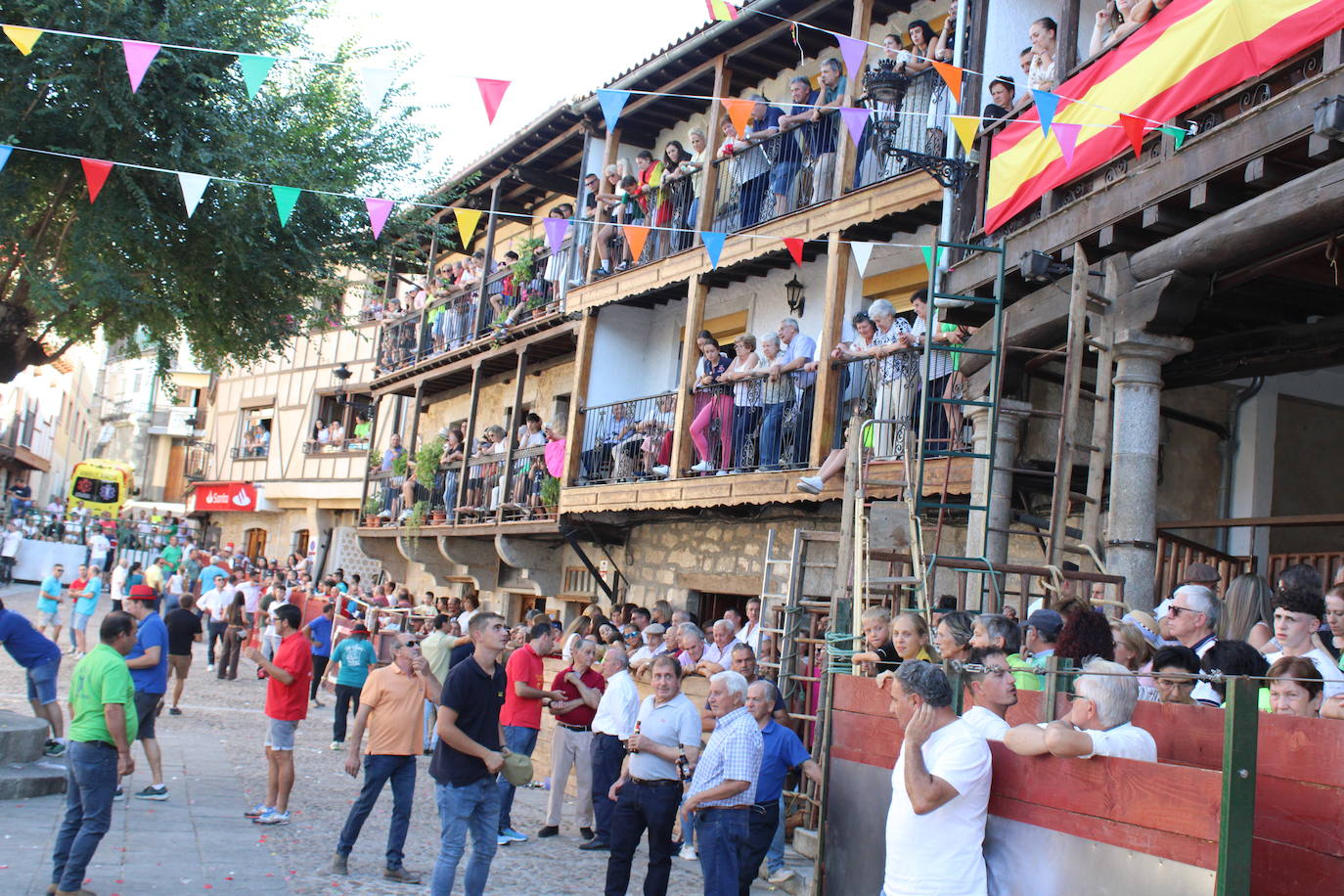 San Esteban de la Sierra disfruta con el toro
