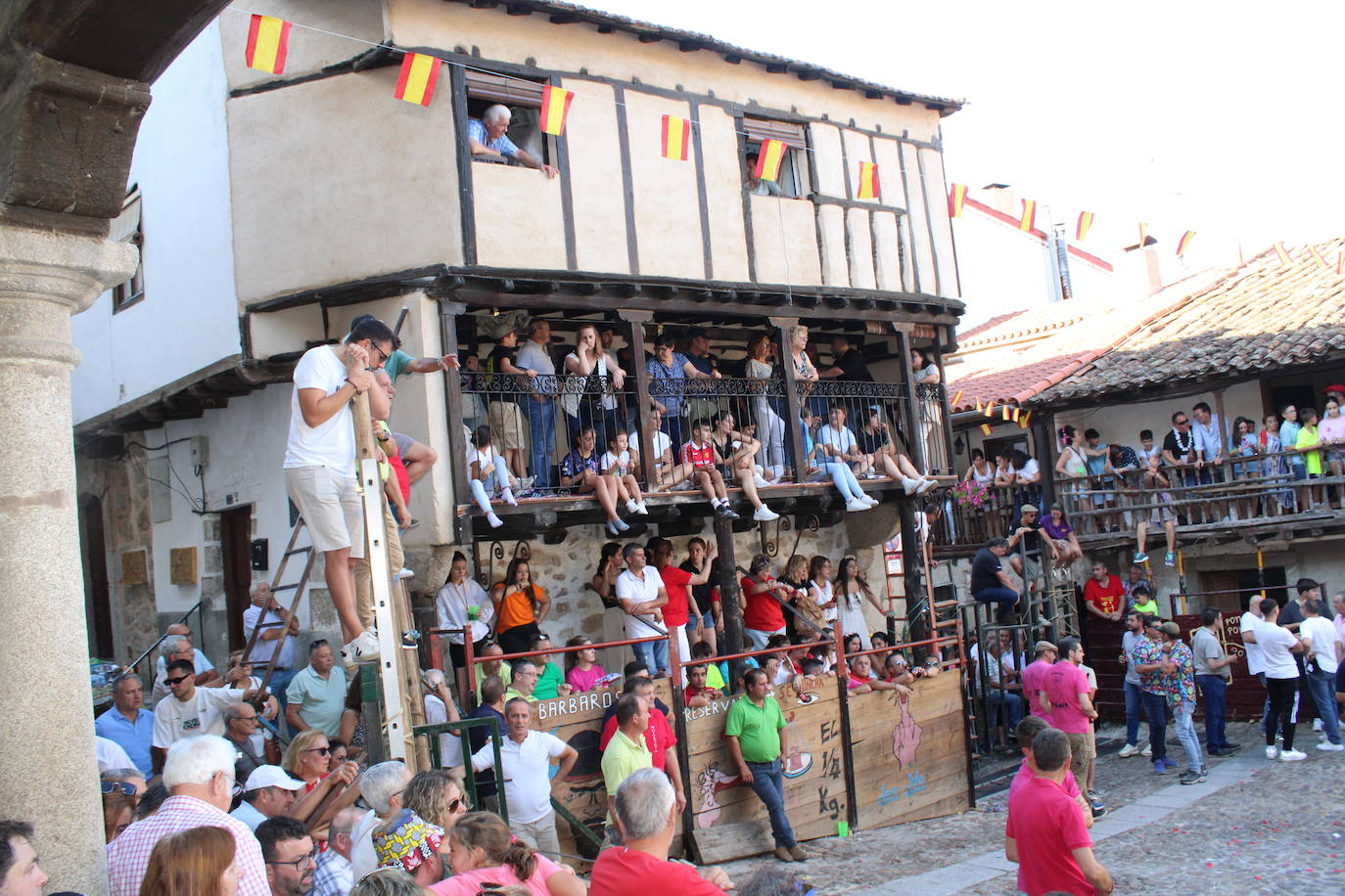 San Esteban de la Sierra disfruta con el toro