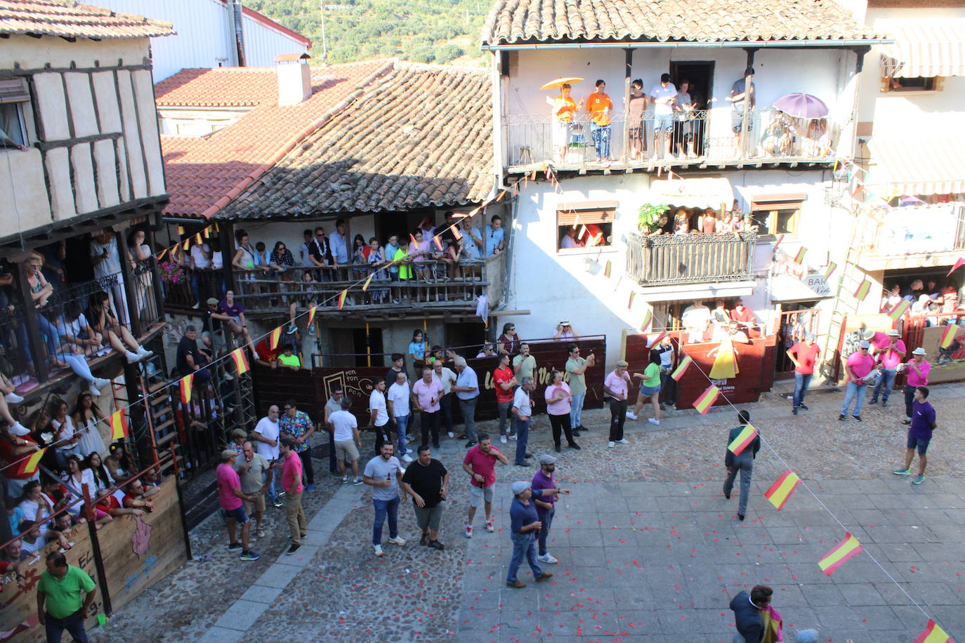 San Esteban de la Sierra disfruta con el toro