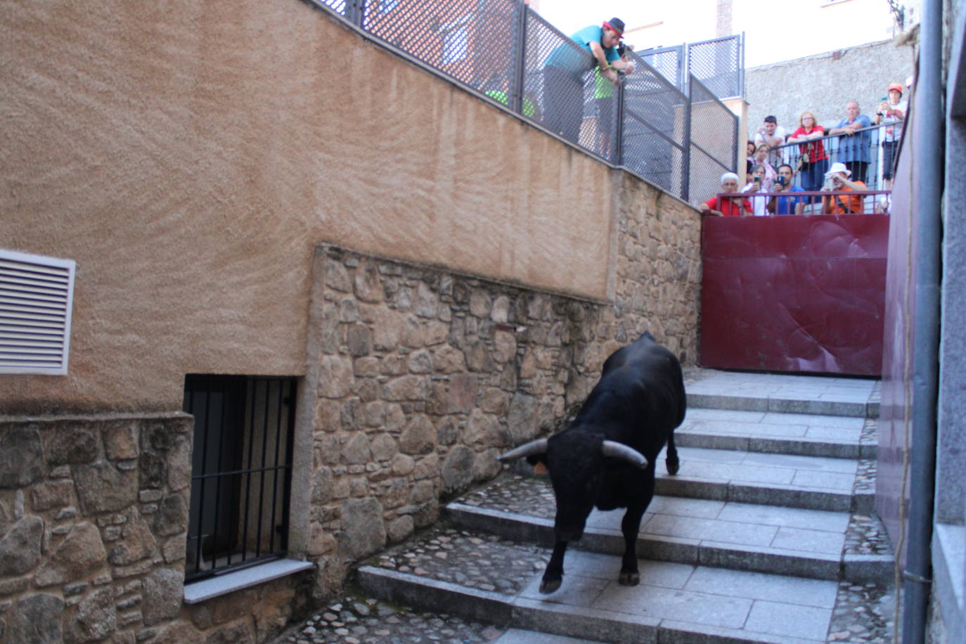 San Esteban de la Sierra disfruta con el toro