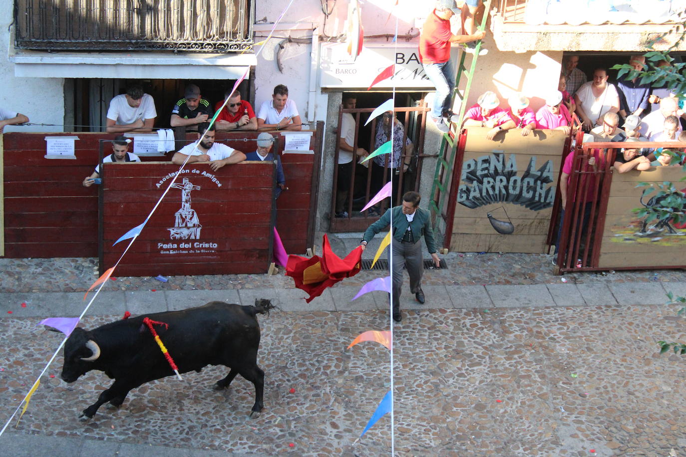 San Esteban de la Sierra disfruta con el toro