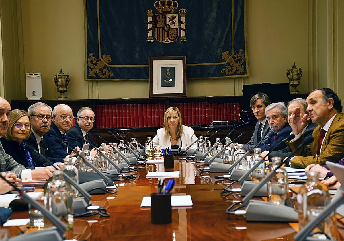 Fotografías Y Recursos De Vídeo Pleno Extraordinario Cgpj- CONSEJO GENERAL DEL PODER JUDICIAL - Archivo