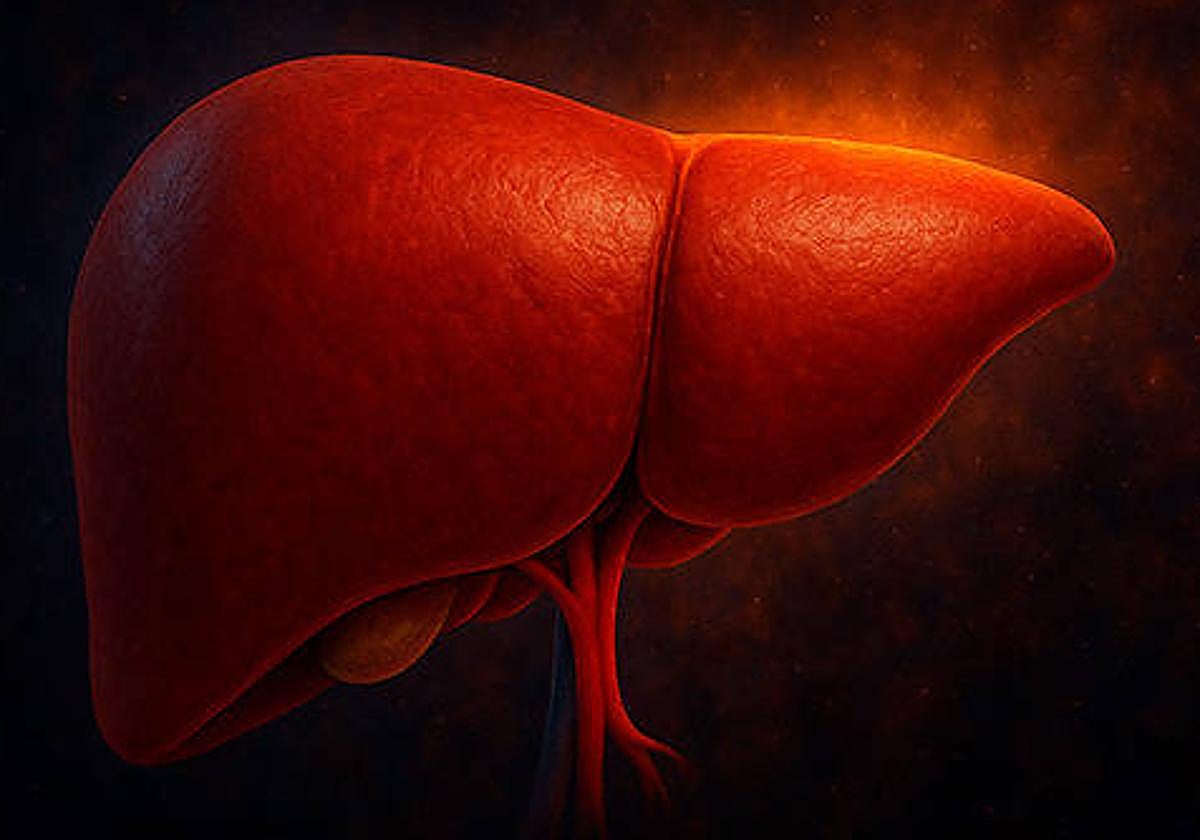 La Universidad de Salamanca avanza en el estudio de un raro cáncer de hígado altamente agresivo