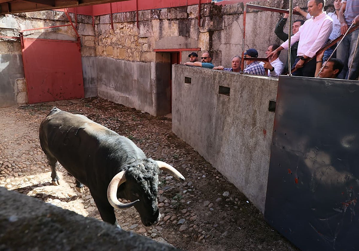 Morante reaparece en La Glorieta tras el 14J con Filósofo