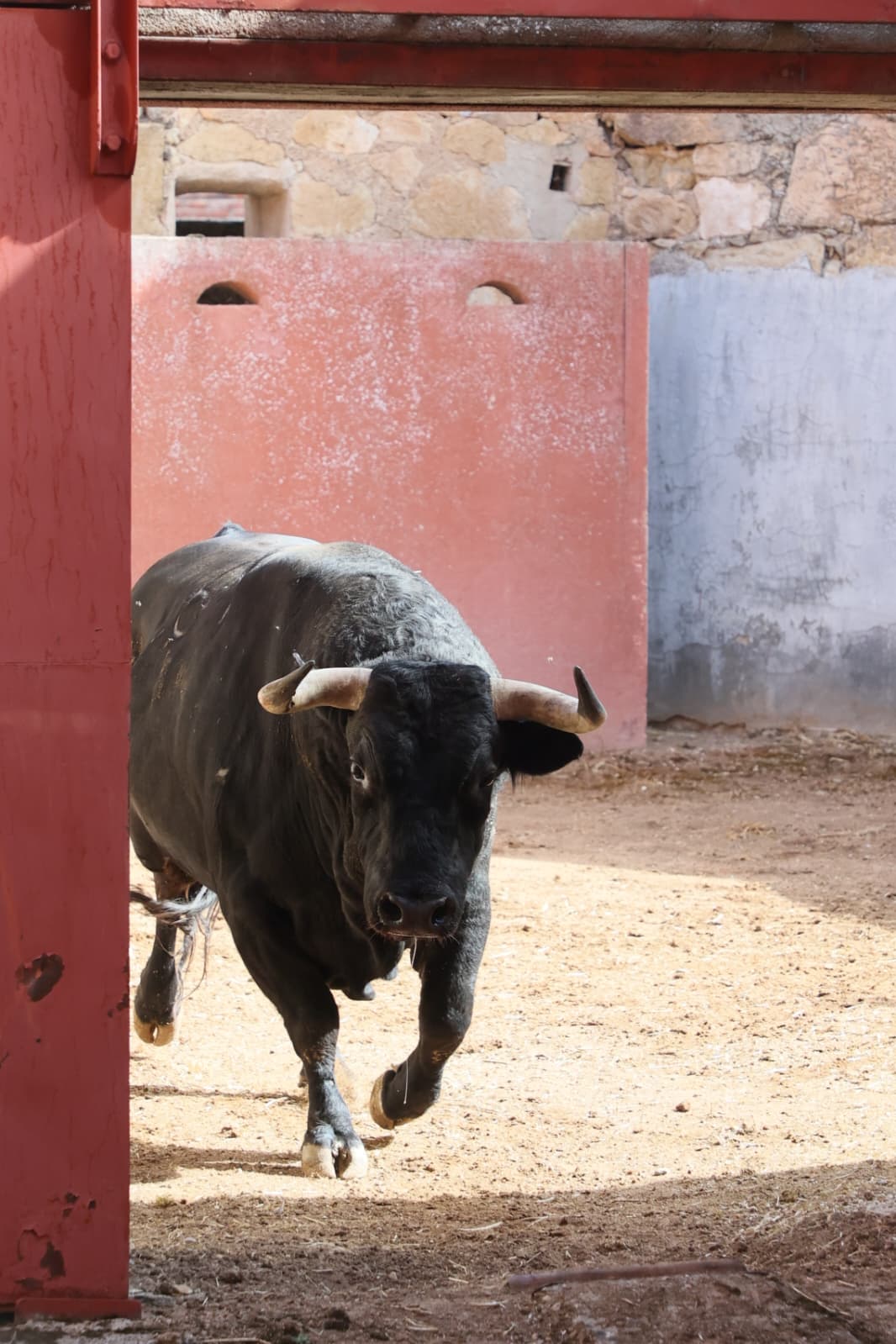 Morante reaparece en La Glorieta tras el 14J con Filósofo