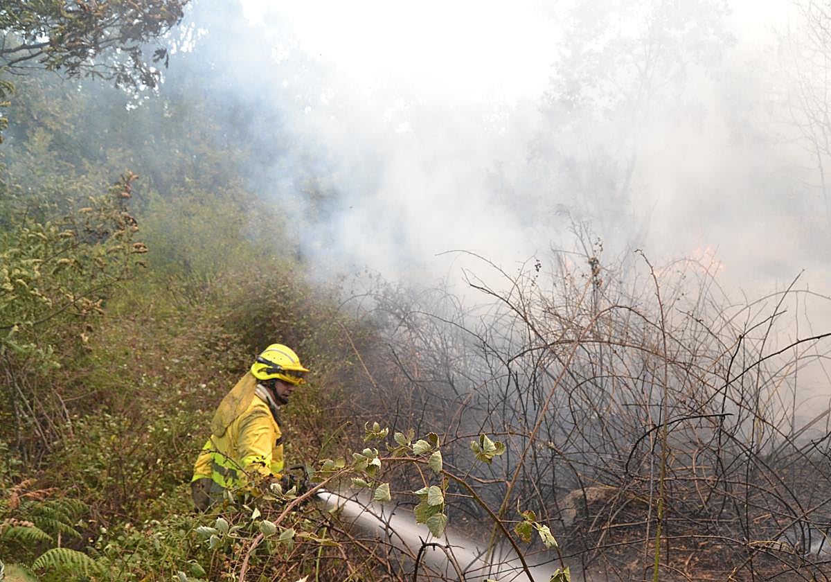 Brigadas, en el incendio de La Alberca.