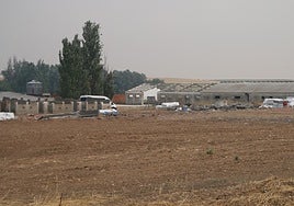 La zona en la que se levantarán las futuras 20 viviendas de Calzada de Valduncie