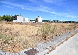 Imagen de las parcelas de la Junta en la que se plantea la construcción de las viviendas.