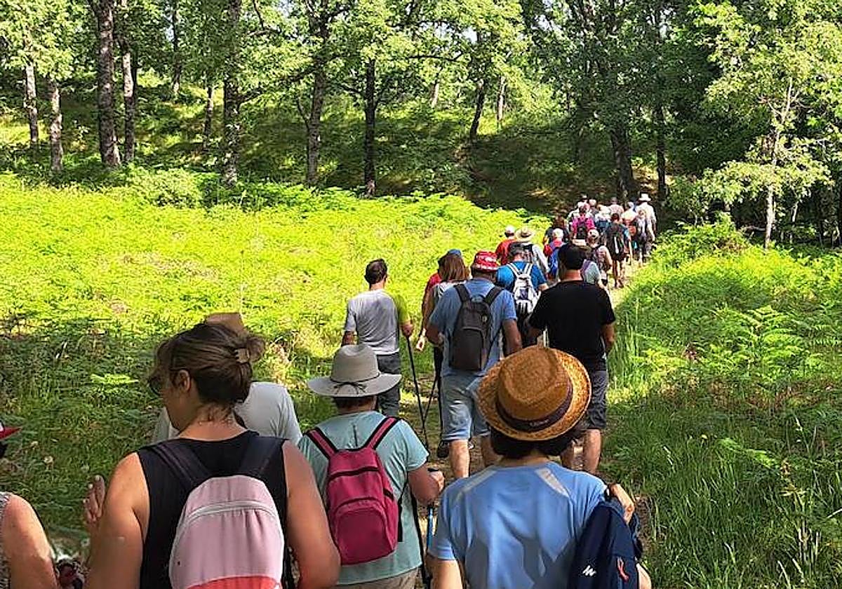 Una de las actividades del Festival.