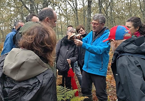 El experto José Ignacio Gómez Risueño muestra un ejemplar a un grupo de aficionados a la micología.