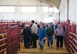 Mercado de ganado celebrado en Salamanca el 22 de septiembre.