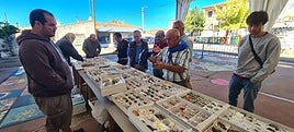La V Feria de Minerales se desarrollará durante la jornada del domingo.