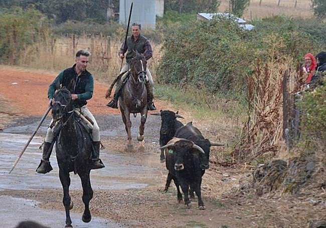 La fiesta reúne a vecinos y visitantes.