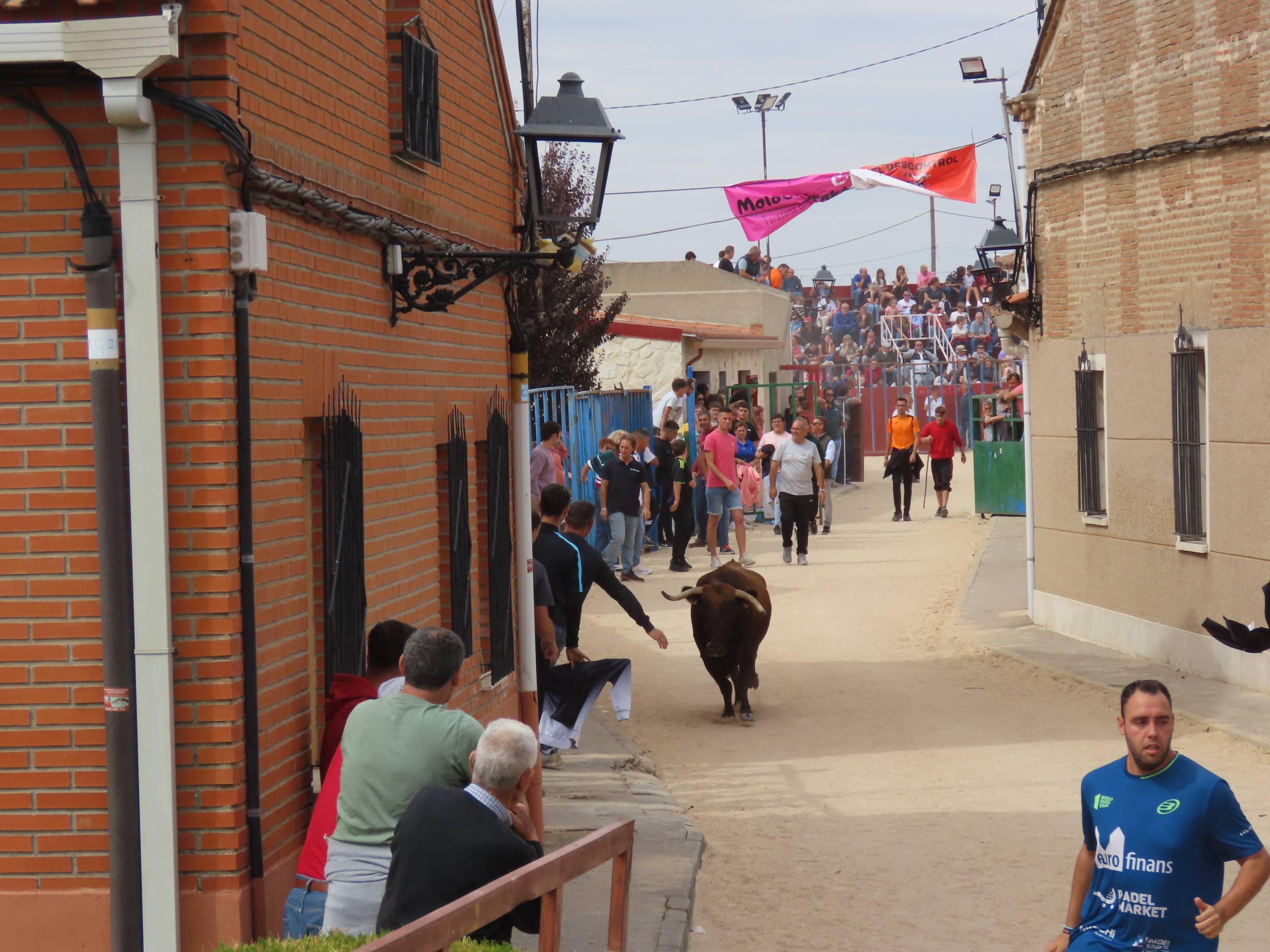 Bravura taurina en los encierros de Tarazona