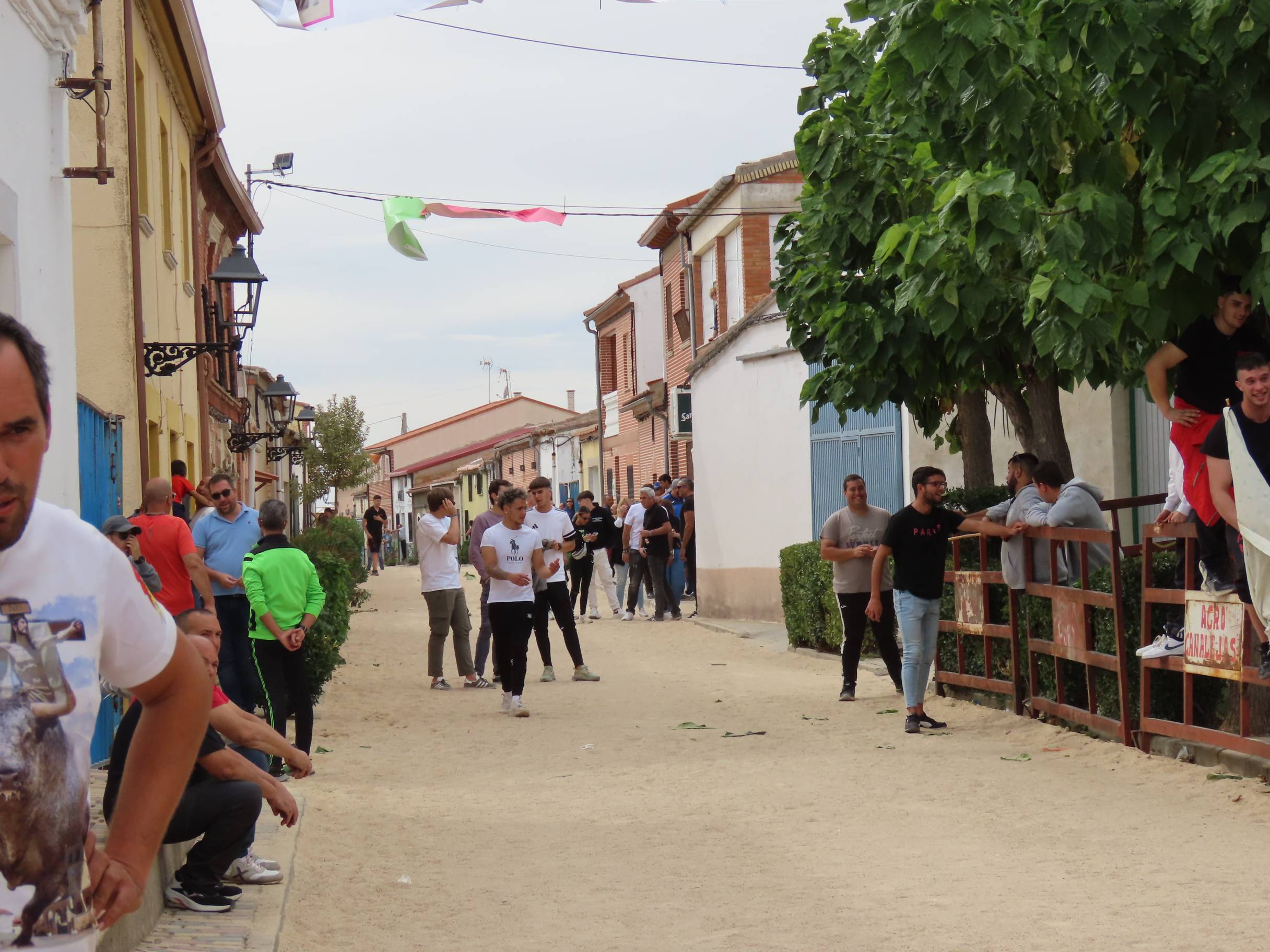 Bravura taurina en los encierros de Tarazona