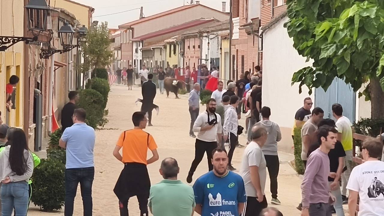 Bravura taurina en los encierros de Tarazona