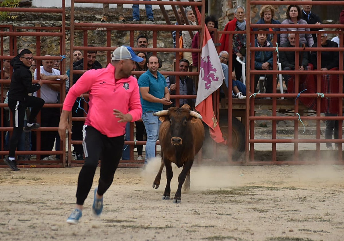 Riesgo y emoción en Santiz durante la esperada capea con vaquillas y un novillo