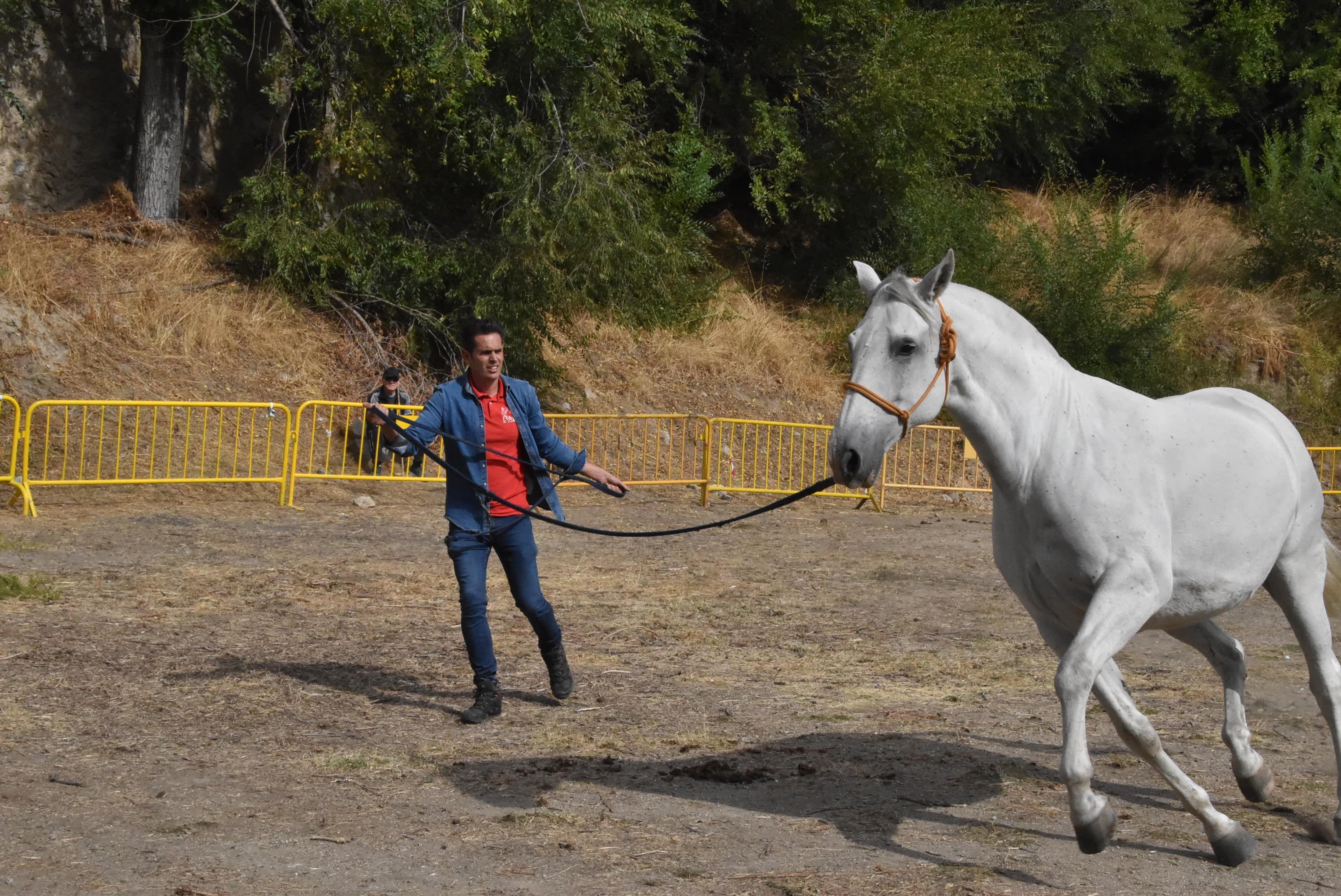 Éxito de público en la celebración de las Ferias de San Miguel en Béjar