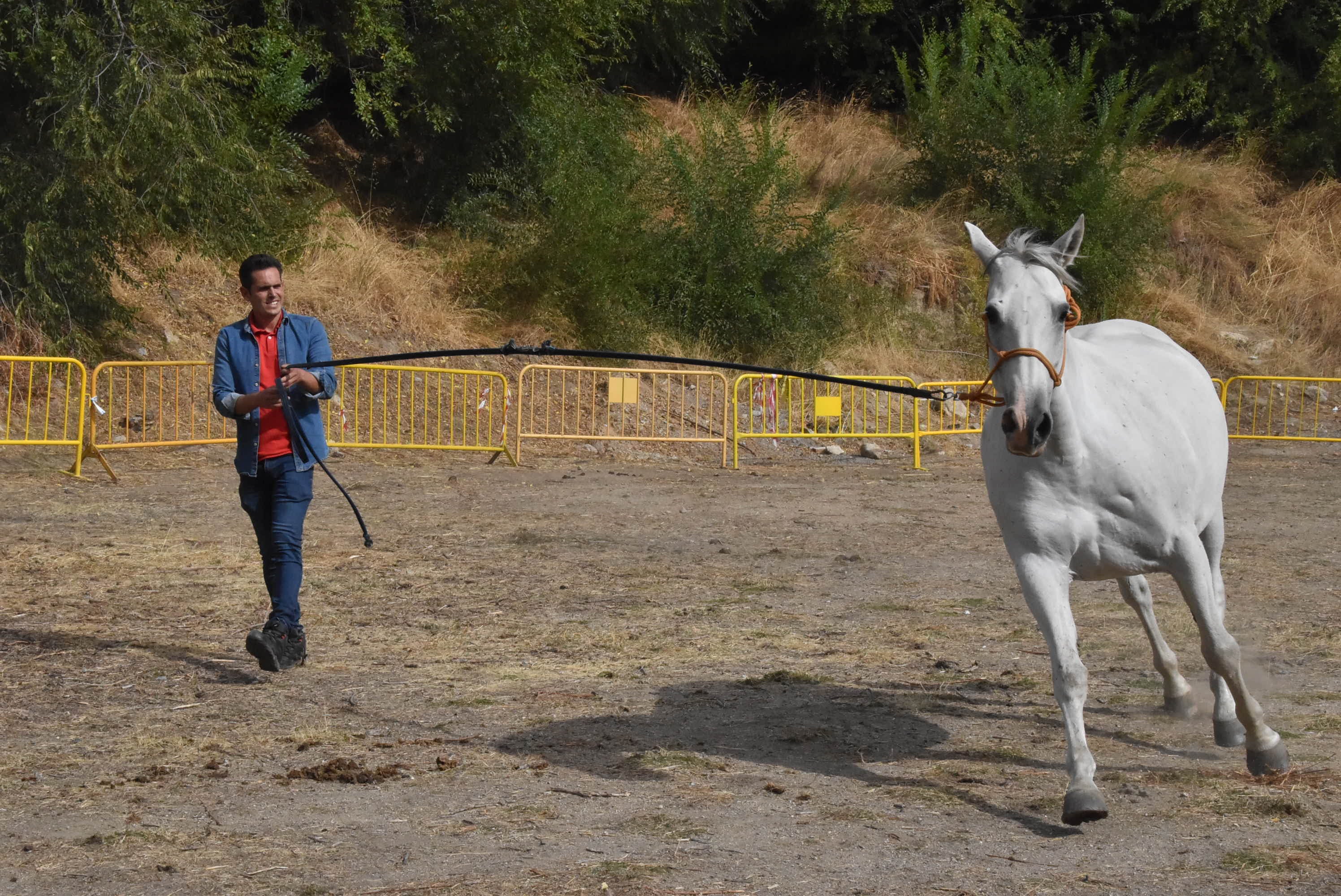 Éxito de público en la celebración de las Ferias de San Miguel en Béjar