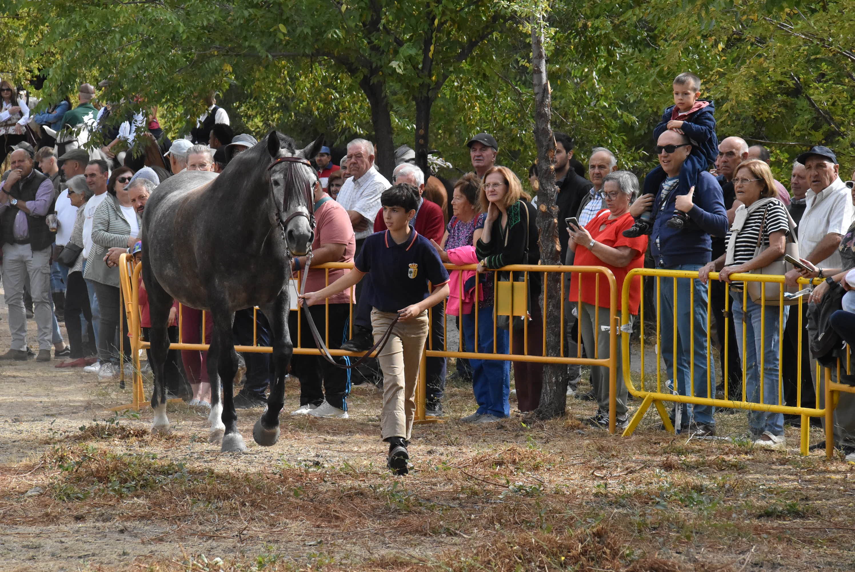 Éxito de público en la celebración de las Ferias de San Miguel en Béjar