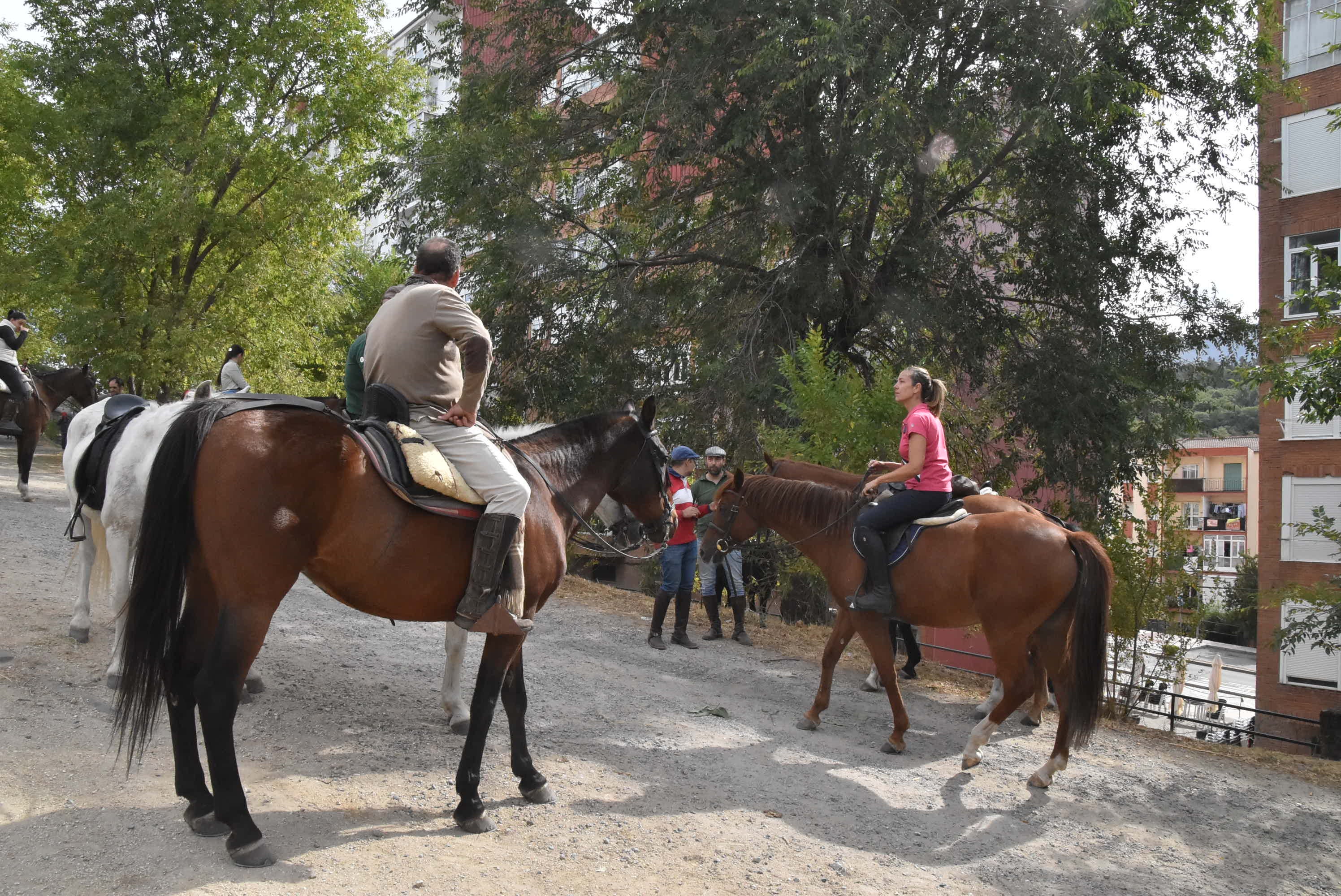 Éxito de público en la celebración de las Ferias de San Miguel en Béjar
