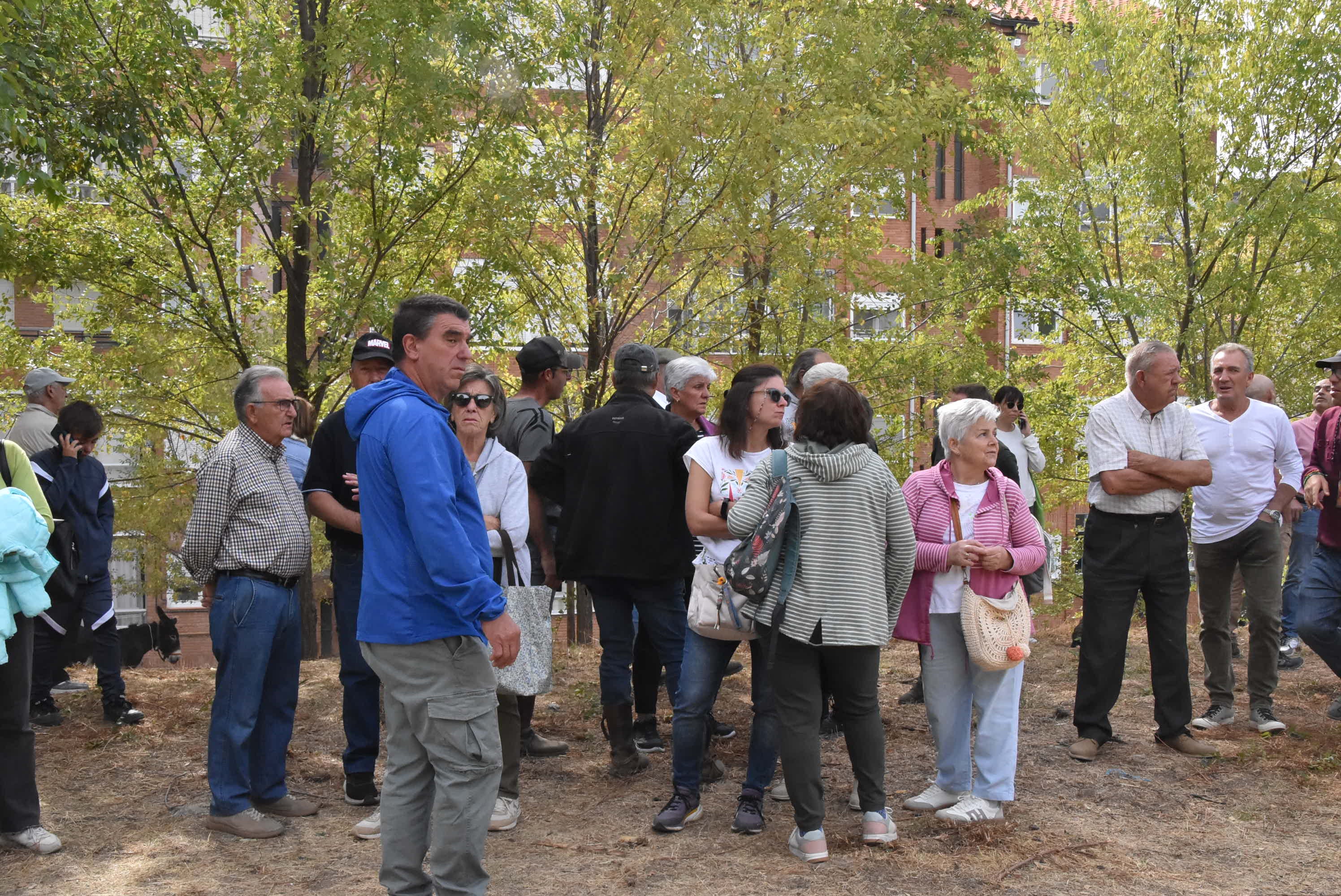 Éxito de público en la celebración de las Ferias de San Miguel en Béjar