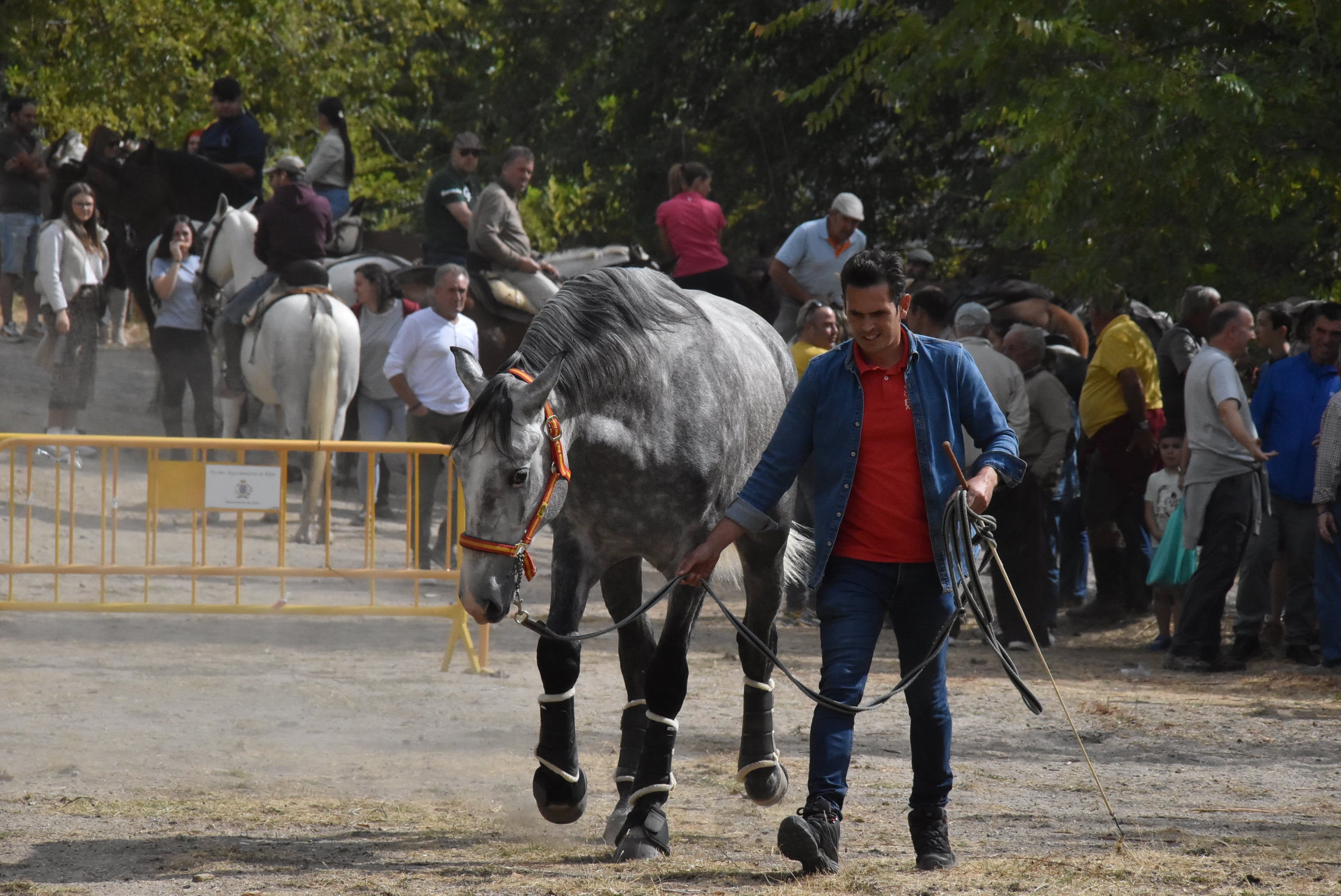 Éxito de público en la celebración de las Ferias de San Miguel en Béjar
