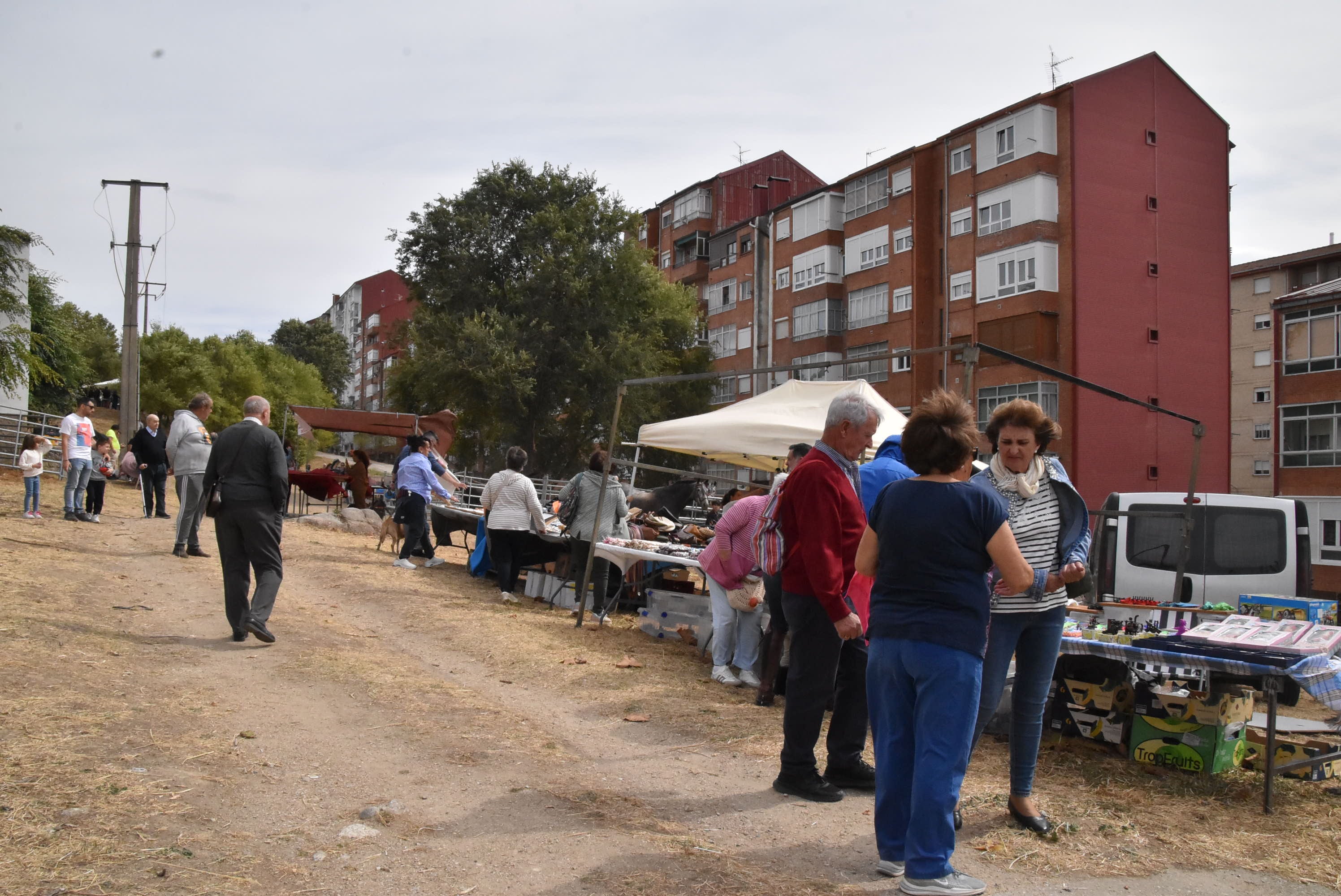Éxito de público en la celebración de las Ferias de San Miguel en Béjar