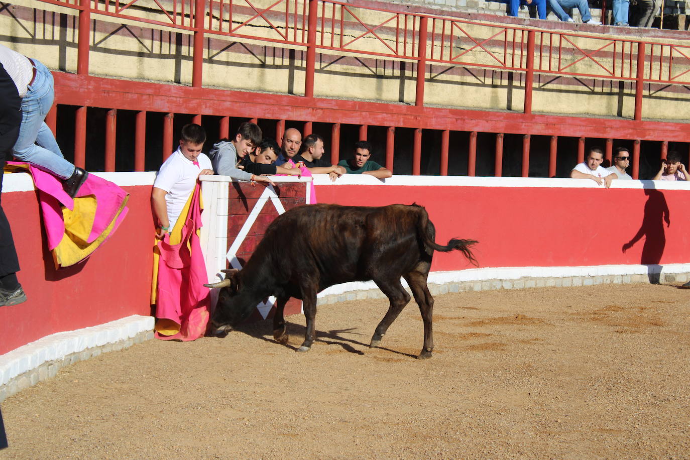 Emotivo y animado inicio de fiestas en San Miguel de Valero