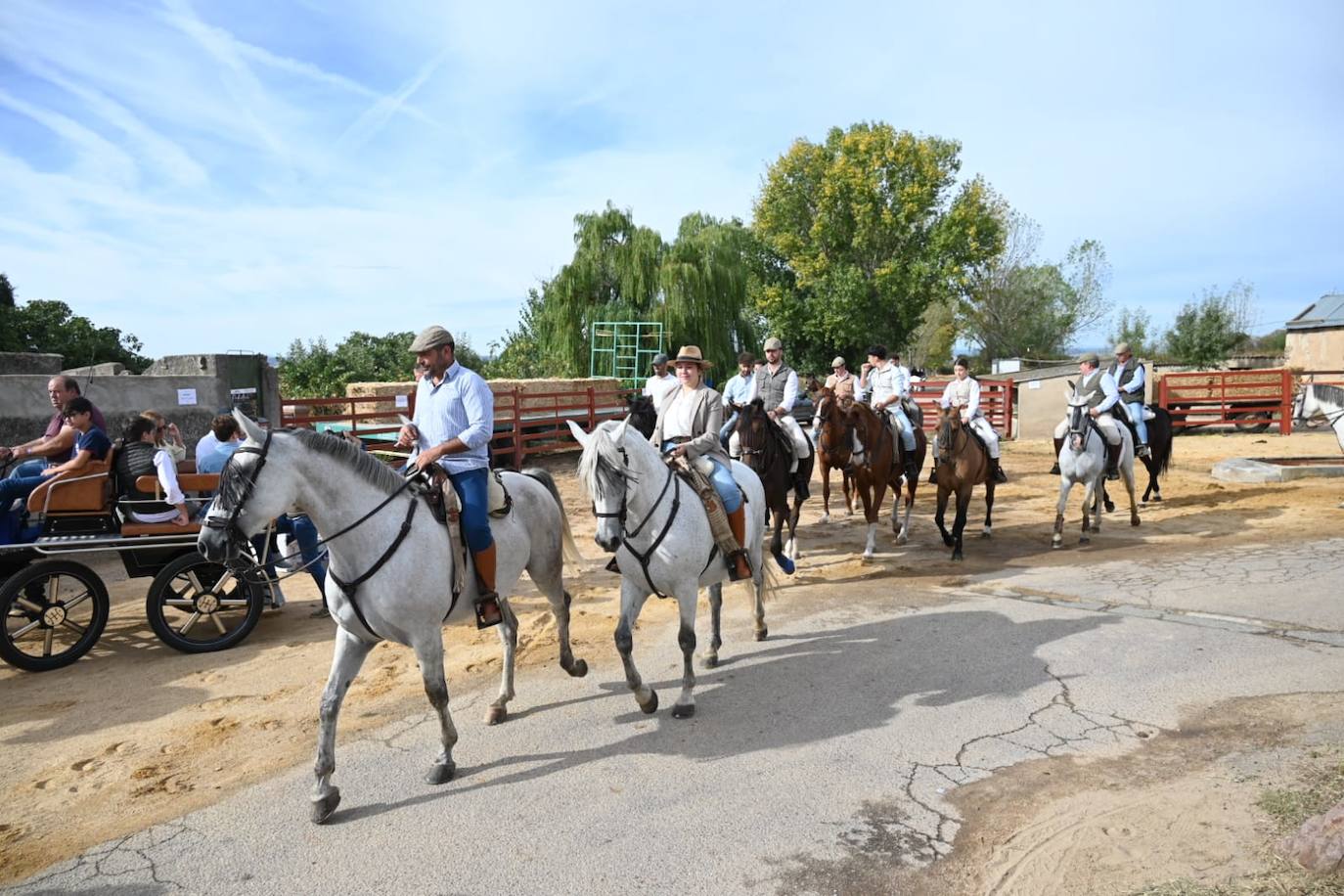 Exitosa marcha solidaria en Pedro Toro