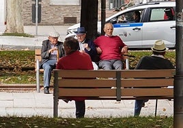 Un grupo de mayores en el parque de Vidal.