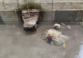 La pieza de la fuente que ha sido dañada.